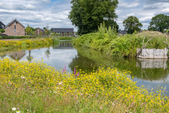 biodiversiteit